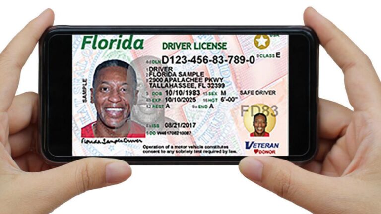 drivers license address lookup florida